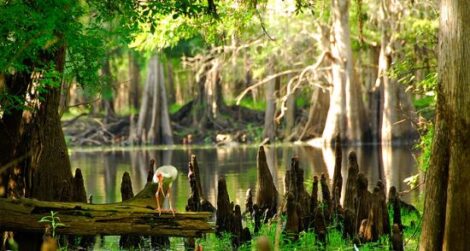 2 Simple Things You Can Stop Using to Make Your Gardening More Sustainable Image